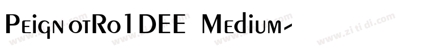 PeignotRo1DEE Medium字体转换